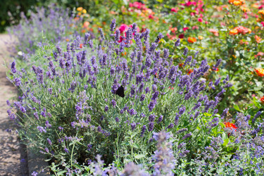 Similar image 21609022