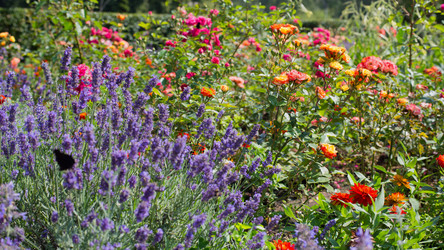 Similar image 21609024