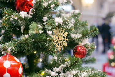 Similar image 21609027