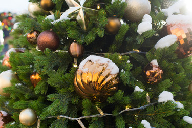 Similar image 21609129