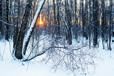 Similar image 21609030