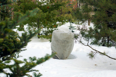 Similar image 21609038