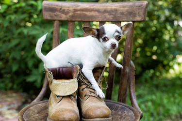 Similar image 21609039