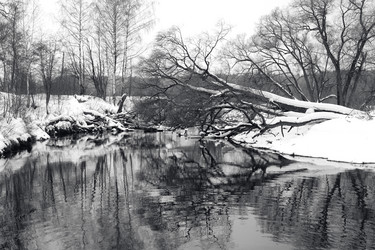 Similar image 21609040