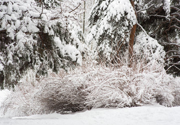 Similar image 21609042