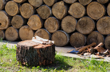 Similar image 21609048