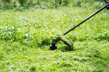 Similar image 21609050