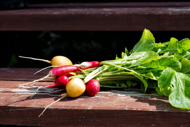 Similar image 21609135