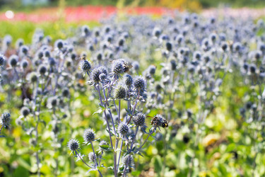 Similar image 21609139