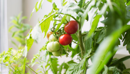 Similar image 21609140