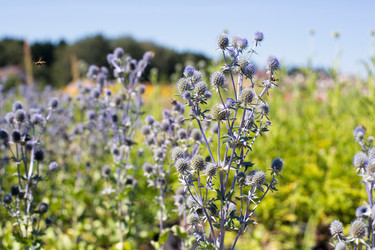 Similar image 21609141