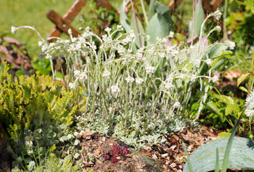 Similar image 21609147