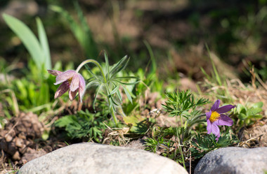 Similar image 21609160