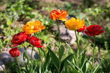 Similar image 21609162