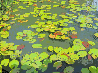 Similar image 21629227