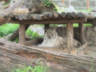 Similar image 21621509