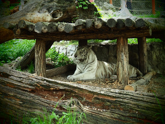 Similar image 21621513