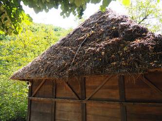 Similar image 21621527