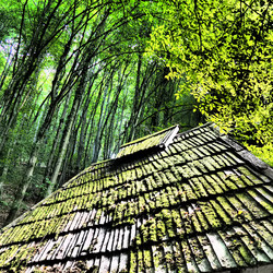 Similar image 21621535