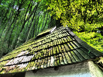 Similar image 21621536