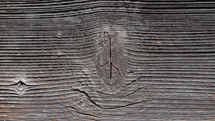 Similar image 21621543