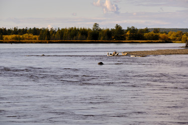 Similar image 21609173