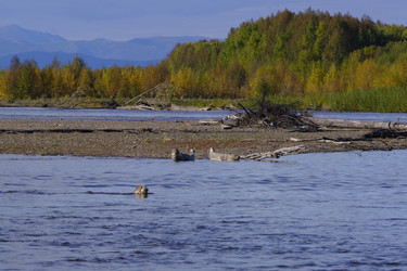 Similar image 21609175