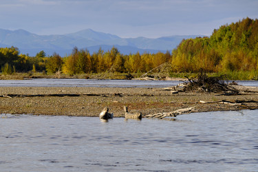 Similar image 21609176