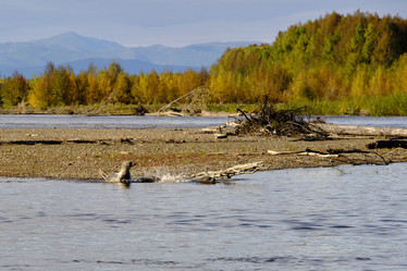 Similar image 21609177