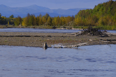 Similar image 21609178