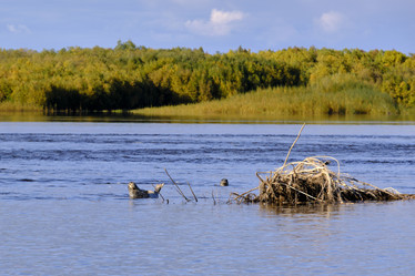 Similar image 21609183