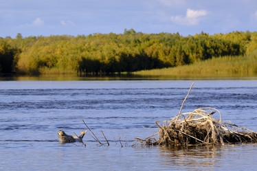 Similar image 21609184