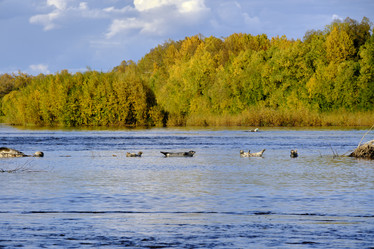 Similar image 21609185