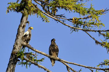 Similar image 21609186