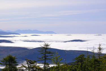 Similar image 21609188