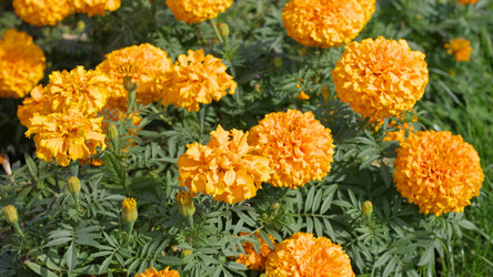 Similar image 21609361