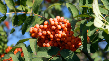 Similar image 21609379