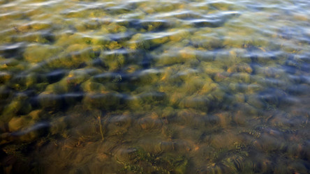 Similar image 21609390