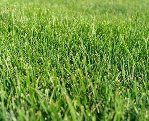 Similar image 21609391