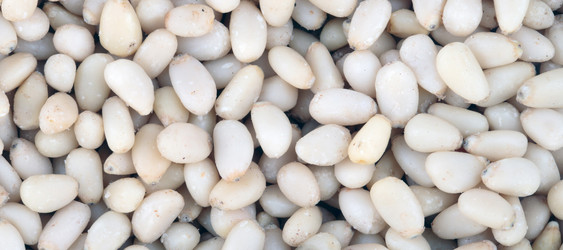 Similar image 21609398