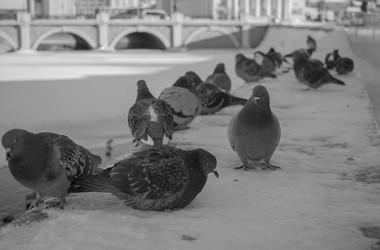 Similar image 21611109