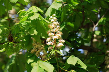 Similar image 21609408