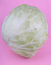 Similar image 21609409