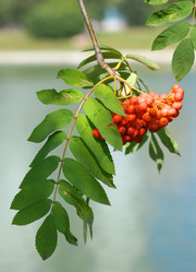 Similar image 21609410