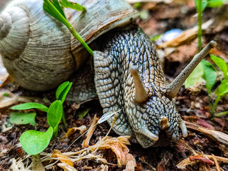 Similar image 21609201