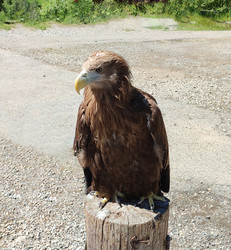 Similar image 21609202