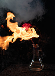 Similar image 21609210