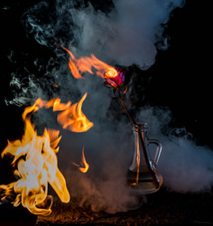 Similar image 21609211