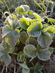 Similar image 21615225