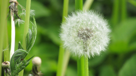 Similar image 21615226